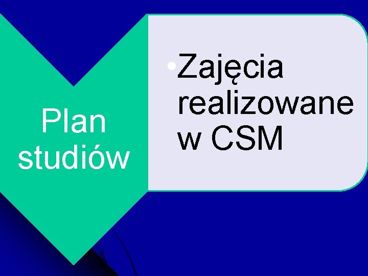 Plan studiów • Zajęcia realizowane w CSM 