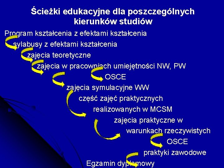 Ścieżki edukacyjne dla poszczególnych kierunków studiów Program kształcenia z efektami kształcenia sylabusy z efektami