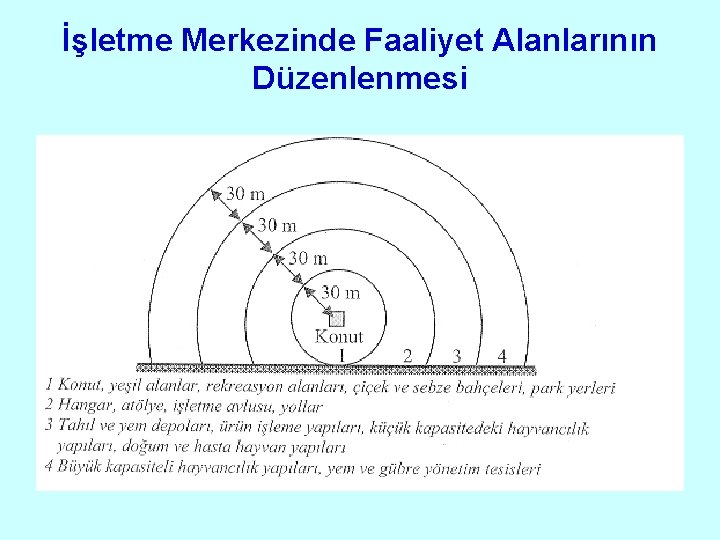 İşletme Merkezinde Faaliyet Alanlarının Düzenlenmesi 