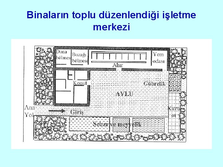 Binaların toplu düzenlendiği işletme merkezi 