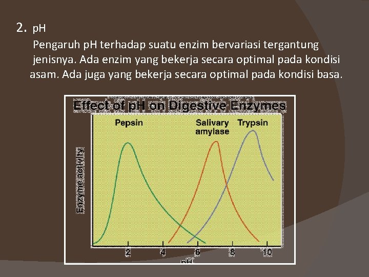 2. p. H Pengaruh p. H terhadap suatu enzim bervariasi tergantung jenisnya. Ada enzim