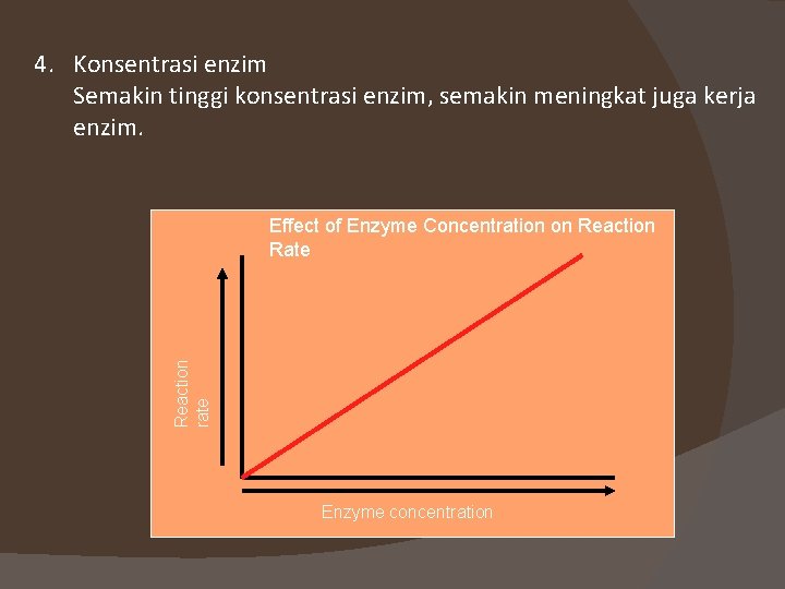 4. Konsentrasi enzim Semakin tinggi konsentrasi enzim, semakin meningkat juga kerja enzim. Reaction rate