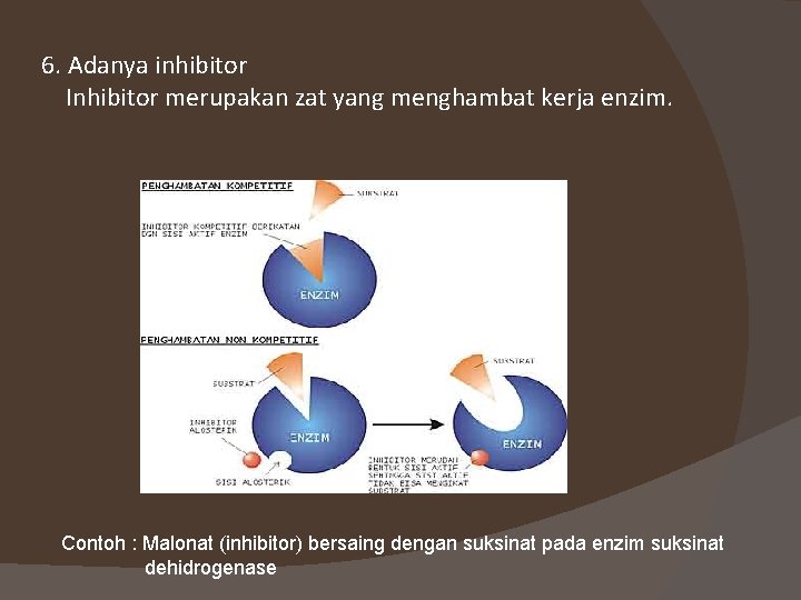 6. Adanya inhibitor Inhibitor merupakan zat yang menghambat kerja enzim. Contoh : Malonat (inhibitor)