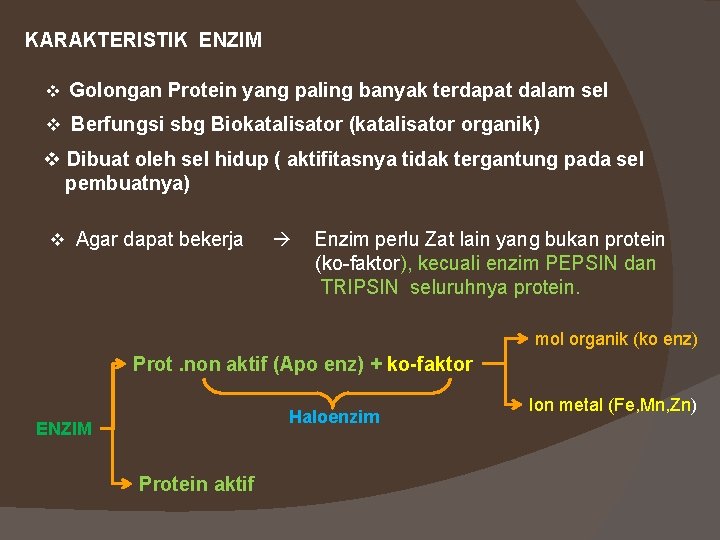 KARAKTERISTIK ENZIM v Golongan Protein yang paling banyak terdapat dalam sel v Berfungsi sbg