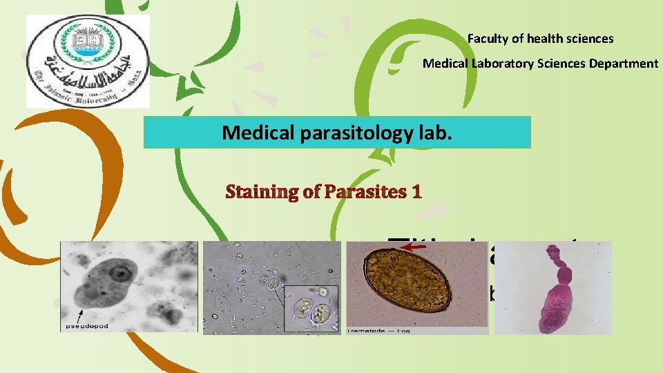 Faculty of health sciences Medical Laboratory Sciences Department Medical parasitology lab. Title Layout Subtitle