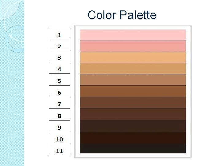 Color Palette 