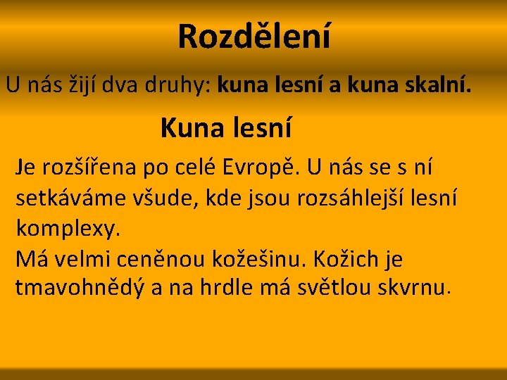 Rozdělení U nás žijí dva druhy: kuna lesní a kuna skalní. Kuna lesní Je