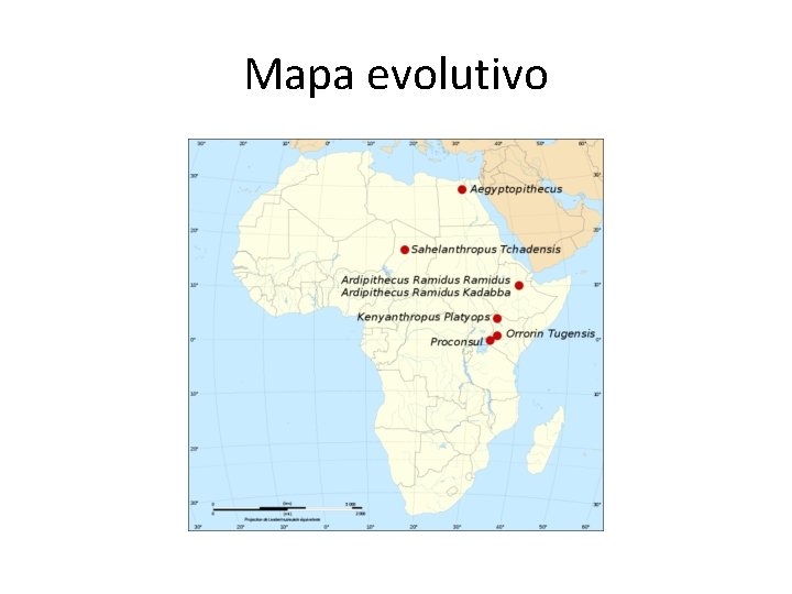 Mapa evolutivo 