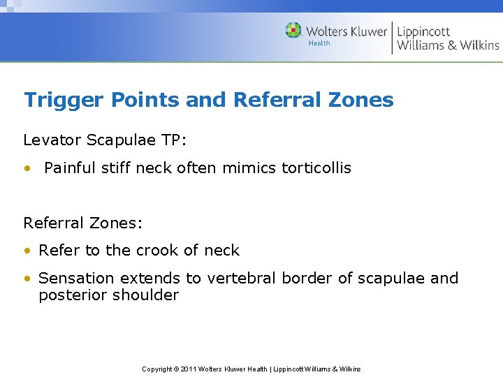 Trigger Points and Referral Zones Levator Scapulae TP: • Painful stiff neck often mimics