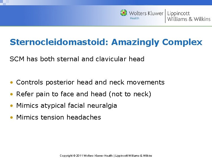 Sternocleidomastoid: Amazingly Complex SCM has both sternal and clavicular head • Controls posterior head