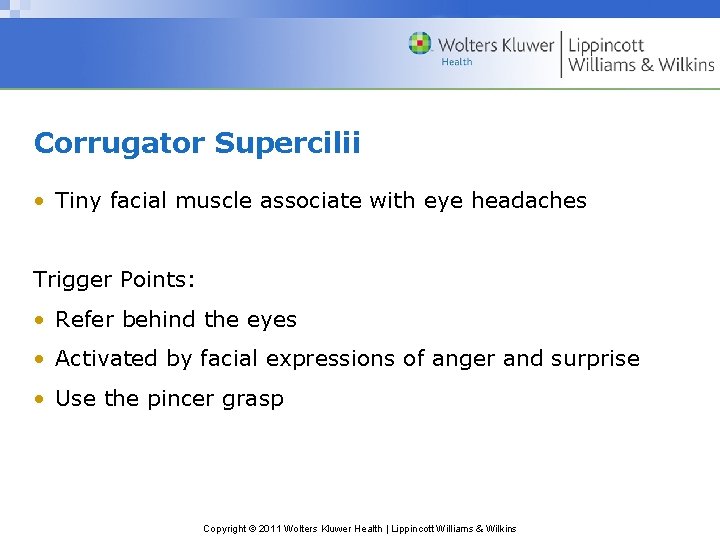 Corrugator Supercilii • Tiny facial muscle associate with eye headaches Trigger Points: • Refer