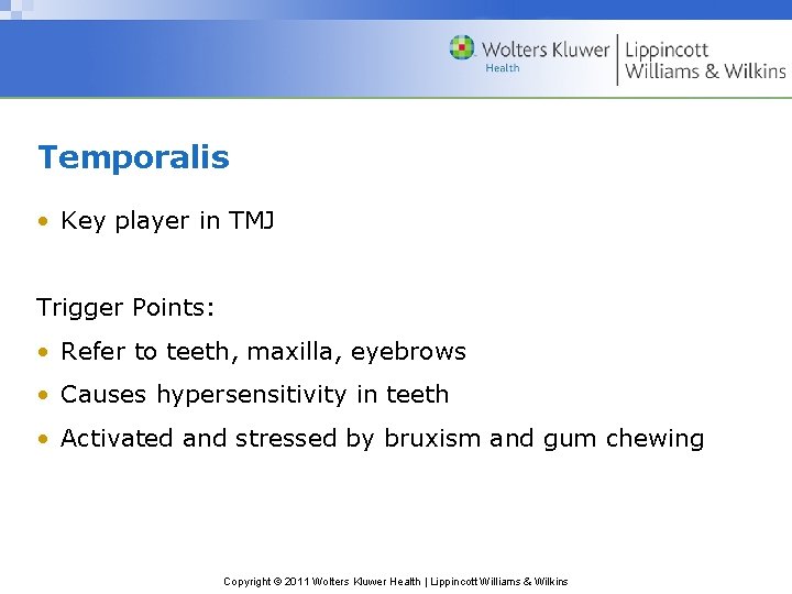 Temporalis • Key player in TMJ Trigger Points: • Refer to teeth, maxilla, eyebrows