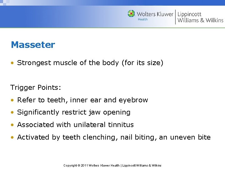 Masseter • Strongest muscle of the body (for its size) Trigger Points: • Refer