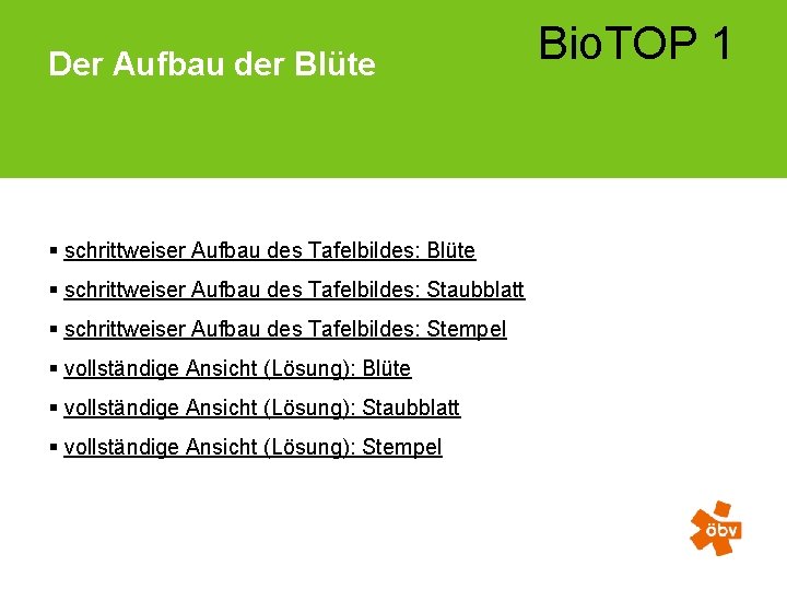 Der Aufbau der Blüte § schrittweiser Aufbau des Tafelbildes: Staubblatt § schrittweiser Aufbau des