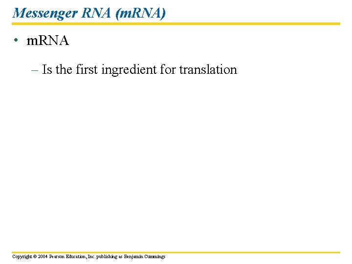Messenger RNA (m. RNA) • m. RNA – Is the first ingredient for translation