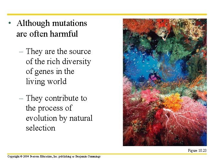  • Although mutations are often harmful – They are the source of the