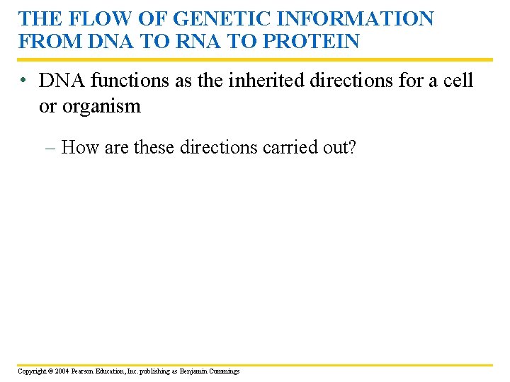 THE FLOW OF GENETIC INFORMATION FROM DNA TO RNA TO PROTEIN • DNA functions