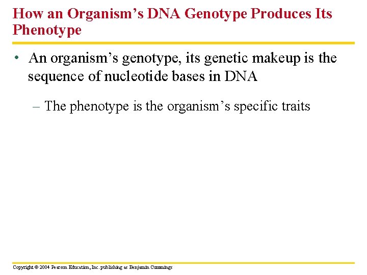 How an Organism’s DNA Genotype Produces Its Phenotype • An organism’s genotype, its genetic