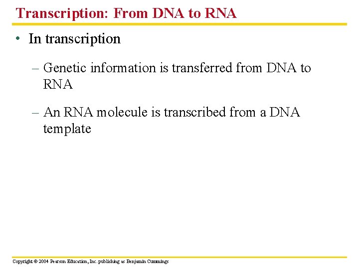 Transcription: From DNA to RNA • In transcription – Genetic information is transferred from