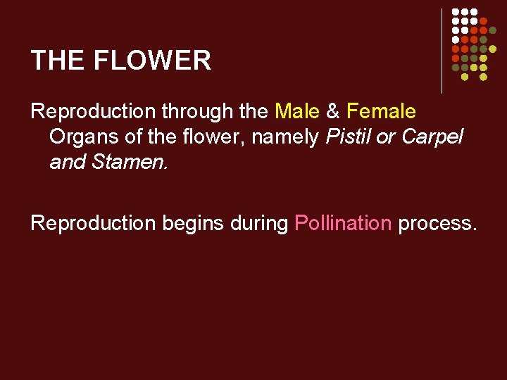 THE FLOWER Reproduction through the Male & Female Organs of the flower, namely Pistil