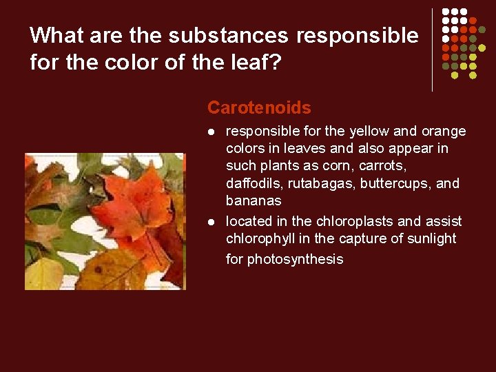 What are the substances responsible for the color of the leaf? Carotenoids l l