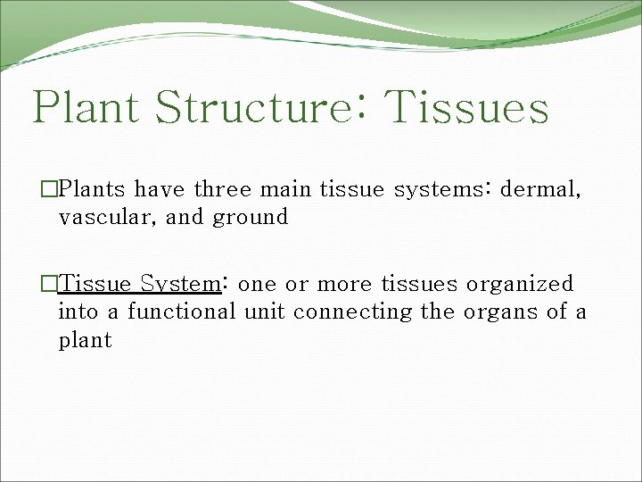 Plant Structure: Tissues �Plants have three main tissue systems: dermal, vascular, and ground �Tissue