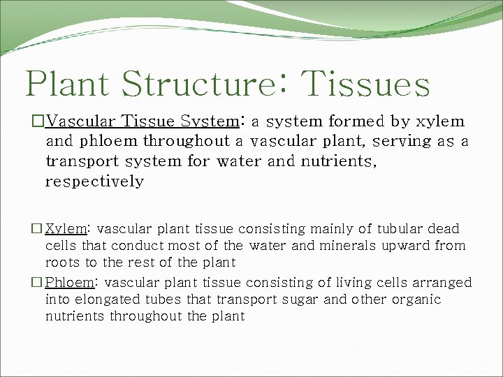 Plant Structure: Tissues �Vascular Tissue System: a system formed by xylem and phloem throughout