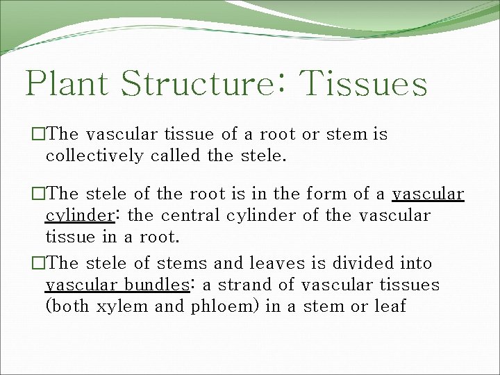 Plant Structure: Tissues �The vascular tissue of a root or stem is collectively called