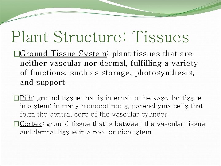 Plant Structure: Tissues �Ground Tissue System: plant tissues that are neither vascular nor dermal,