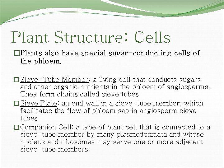 Plant Structure: Cells �Plants also have special sugar-conducting cells of the phloem. �Sieve-Tube Member:
