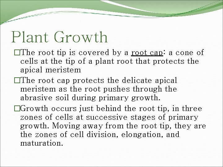 Plant Growth �The root tip is covered by a root cap: a cone of