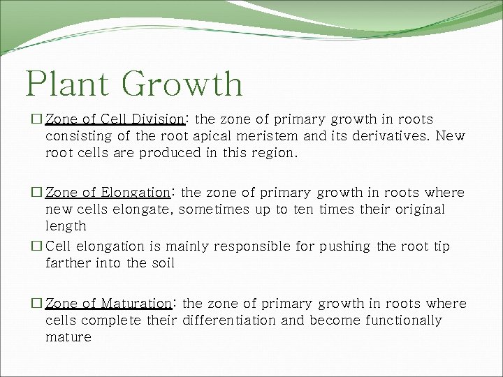 Plant Growth � Zone of Cell Division: the zone of primary growth in roots