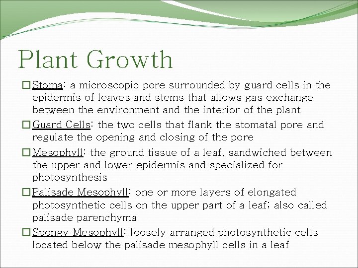 Plant Growth � Stoma: a microscopic pore surrounded by guard cells in the epidermis