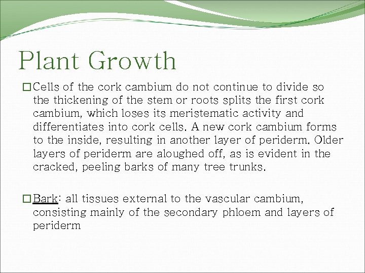 Plant Growth �Cells of the cork cambium do not continue to divide so the