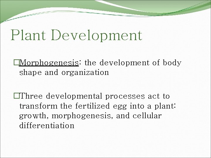 Plant Development �Morphogenesis: the development of body shape and organization �Three developmental processes act
