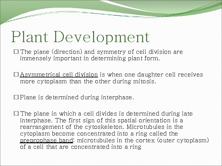 Plant Development � The plane (direction) and symmetry of cell division are immensely important