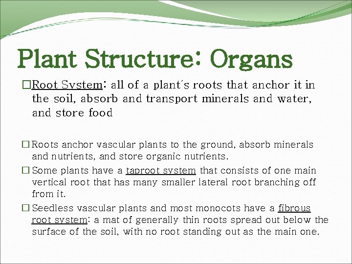 Plant Structure: Organs �Root System: all of a plant′s roots that anchor it in