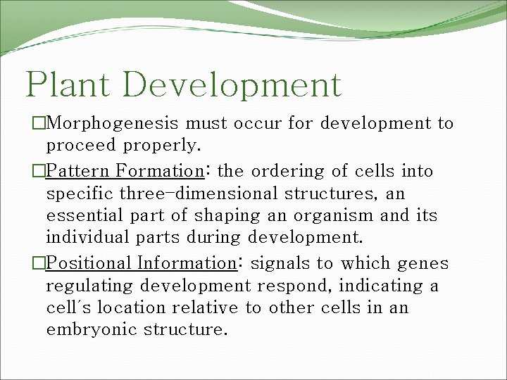 Plant Development �Morphogenesis must occur for development to proceed properly. �Pattern Formation: the ordering