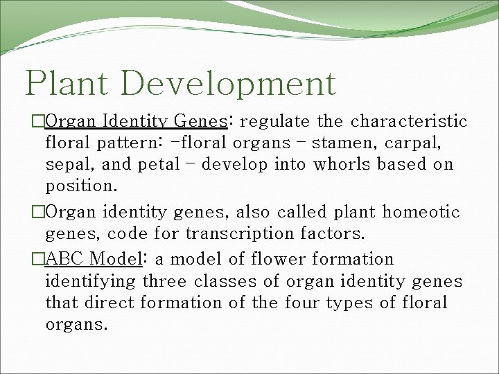 Plant Development �Organ Identity Genes: regulate the characteristic floral pattern: -floral organs – stamen,