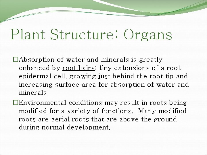Plant Structure: Organs �Absorption of water and minerals is greatly enhanced by root hairs: