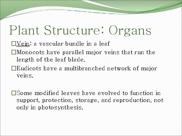 Plant Structure: Organs �Vein: a vascular bundle in a leaf �Monocots have parallel major