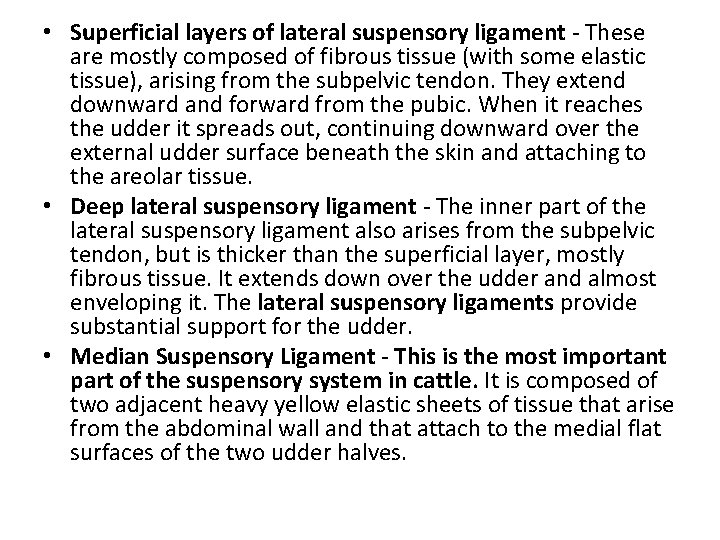  • Superficial layers of lateral suspensory ligament - These are mostly composed of