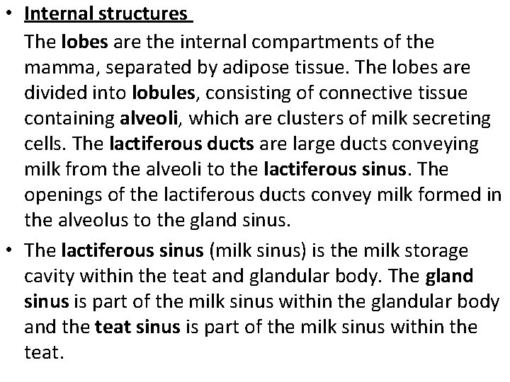  • Internal structures The lobes are the internal compartments of the mamma, separated