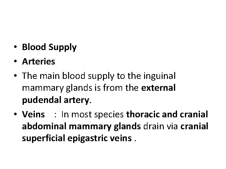  • Blood Supply • Arteries • The main blood supply to the inguinal