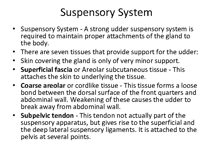 Suspensory System • Suspensory System - A strong udder suspensory system is required to