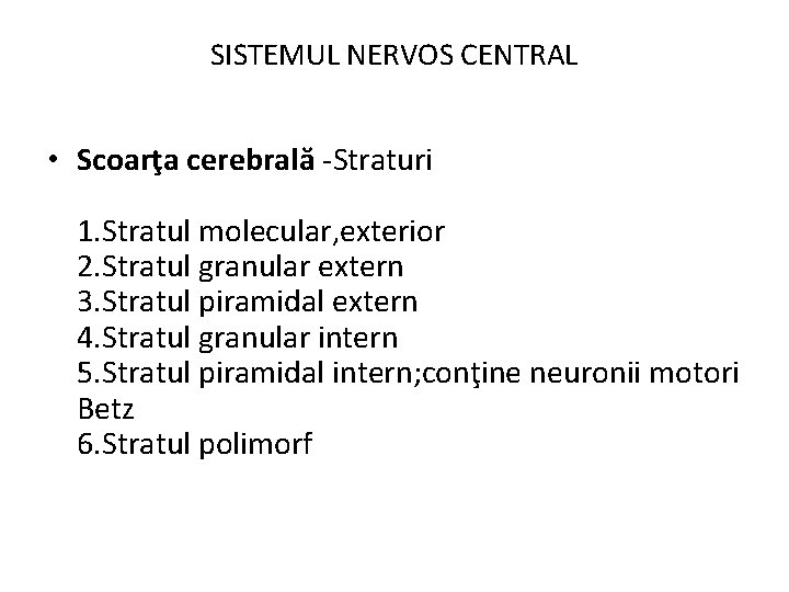 SISTEMUL NERVOS CENTRAL • Scoarţa cerebrală -Straturi 1. Stratul molecular, exterior 2. Stratul granular