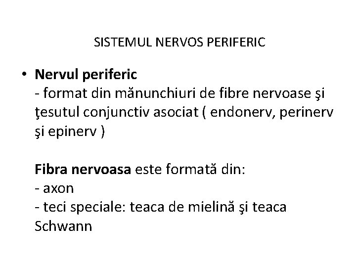 SISTEMUL NERVOS PERIFERIC • Nervul periferic - format din mănunchiuri de fibre nervoase şi
