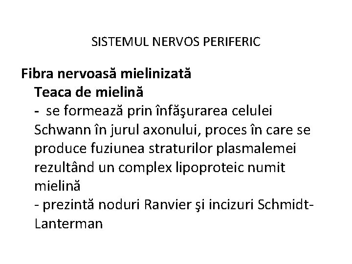 SISTEMUL NERVOS PERIFERIC Fibra nervoasă mielinizată Teaca de mielină - se formează prin înfăşurarea