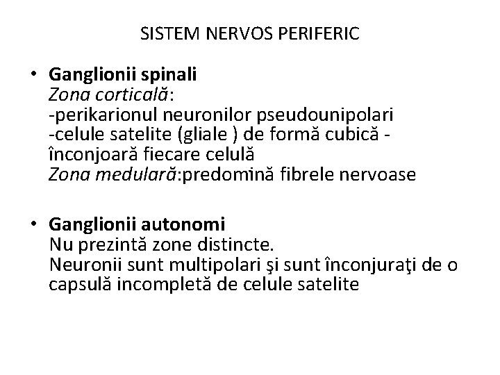 SISTEM NERVOS PERIFERIC • Ganglionii spinali Zona corticală: -perikarionul neuronilor pseudounipolari -celule satelite (gliale