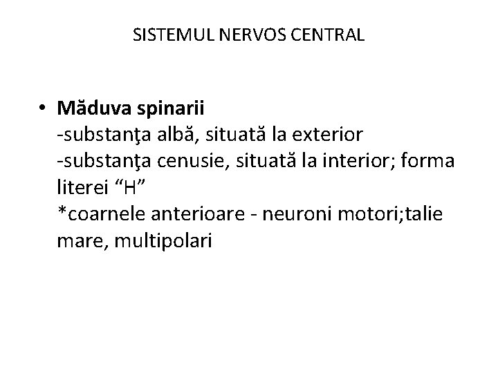 SISTEMUL NERVOS CENTRAL • Măduva spinarii -substanţa albă, situată la exterior -substanţa cenusie, situată